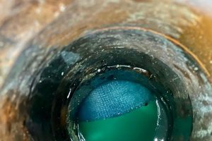 313440740_551753276955327_8439401871412200281_n