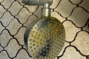 thumbnail_image2 (2)